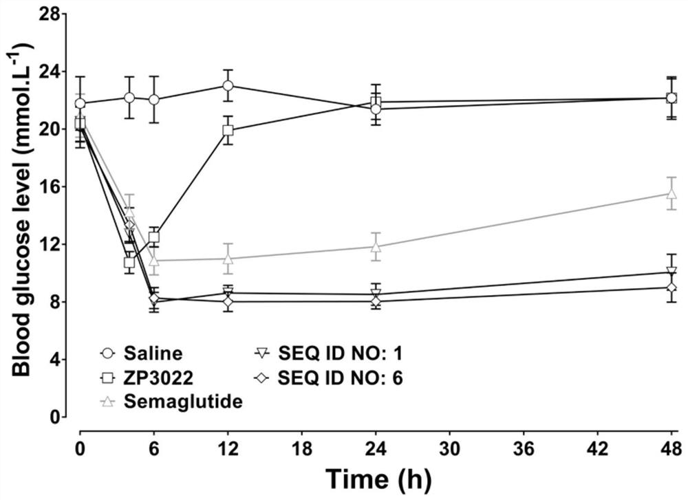 GLP-1/gastrin receptor dual agonist and application thereof