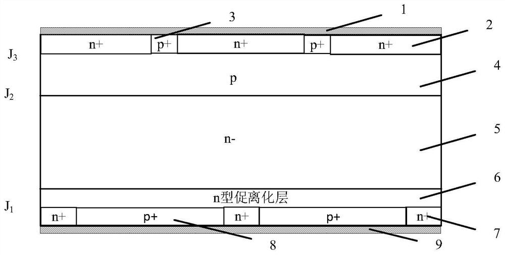 Rapid ionization device and preparation method thereof