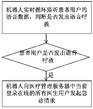 Remote medical diagnosis service system