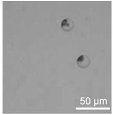 Preparation method and application of nano motor adsorbing material