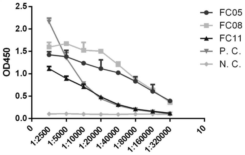 Monoclonal antibody for resisting novel coronavirus or derivative thereof