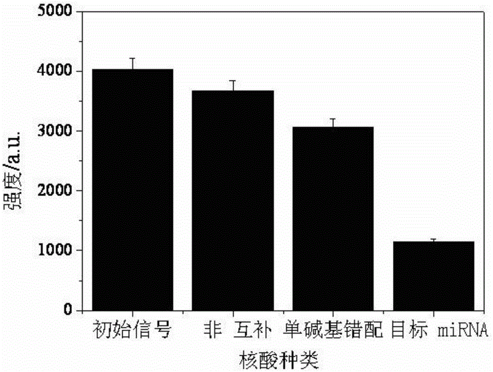 SERS sensor for nucleic acid detection and preparation and multielement detection method thereof