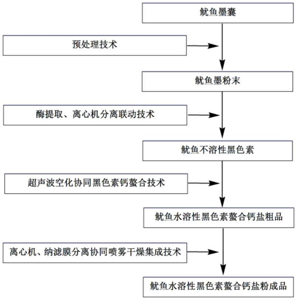 Preparation method of squid water-soluble melanin chelated calcium salt