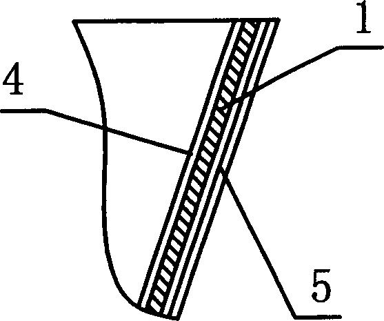 Tectorial membrane rack for aorta without inner leakage