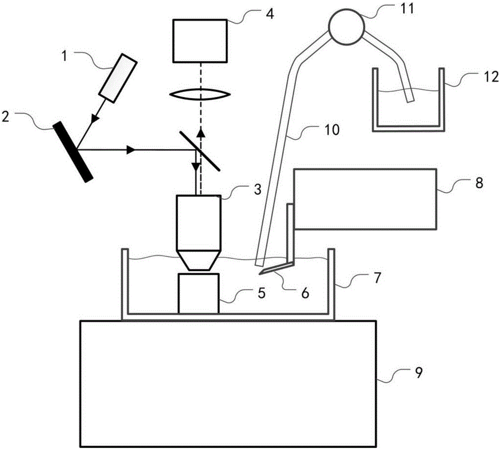 Imaging device and method for quickly acquiring 3D structure information and molecular phenotype information of large sample