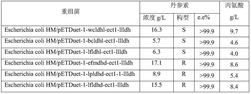 A kind of engineering bacterium that can co-produce danshensu and alanine and its application