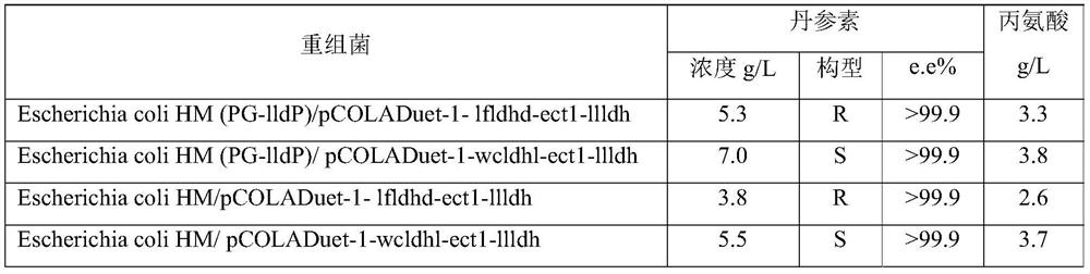 A kind of engineering bacterium that can co-produce danshensu and alanine and its application