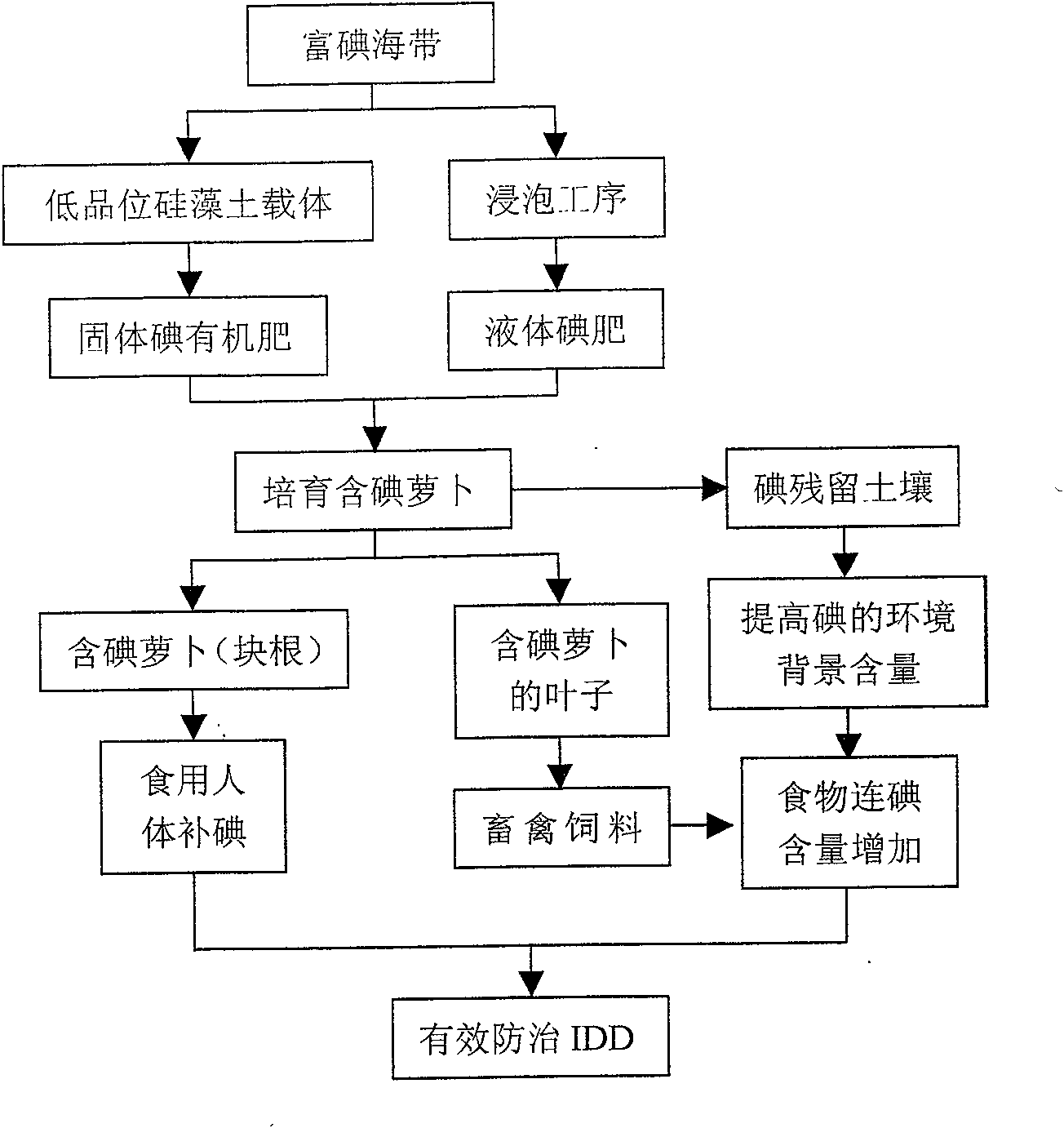 Method for cultivating radish containing natural iodine