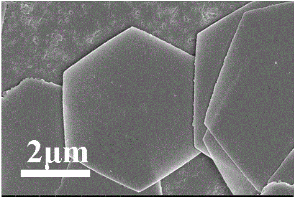 Multistage structure cobalt hydroxide electrode material and preparation method therefor