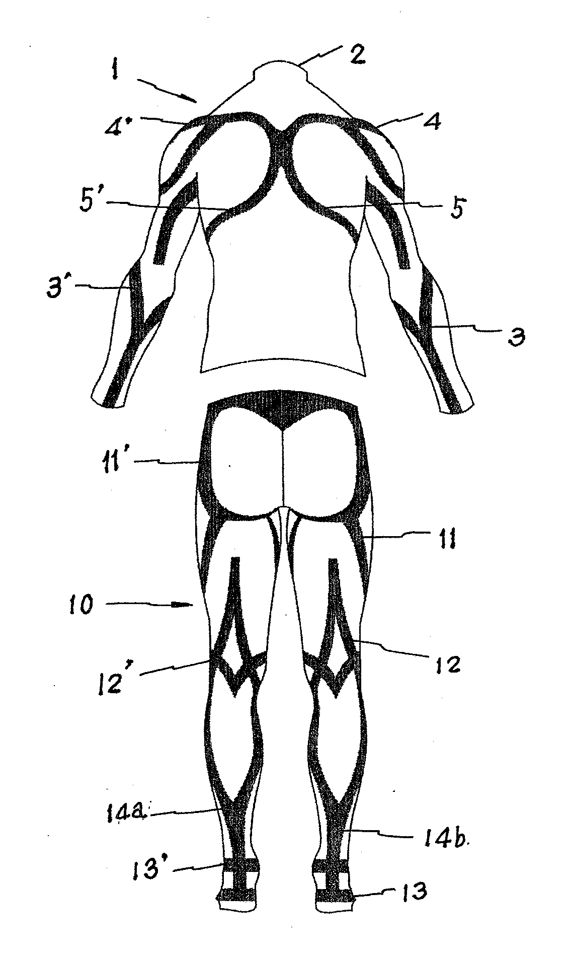 Sports taping tights