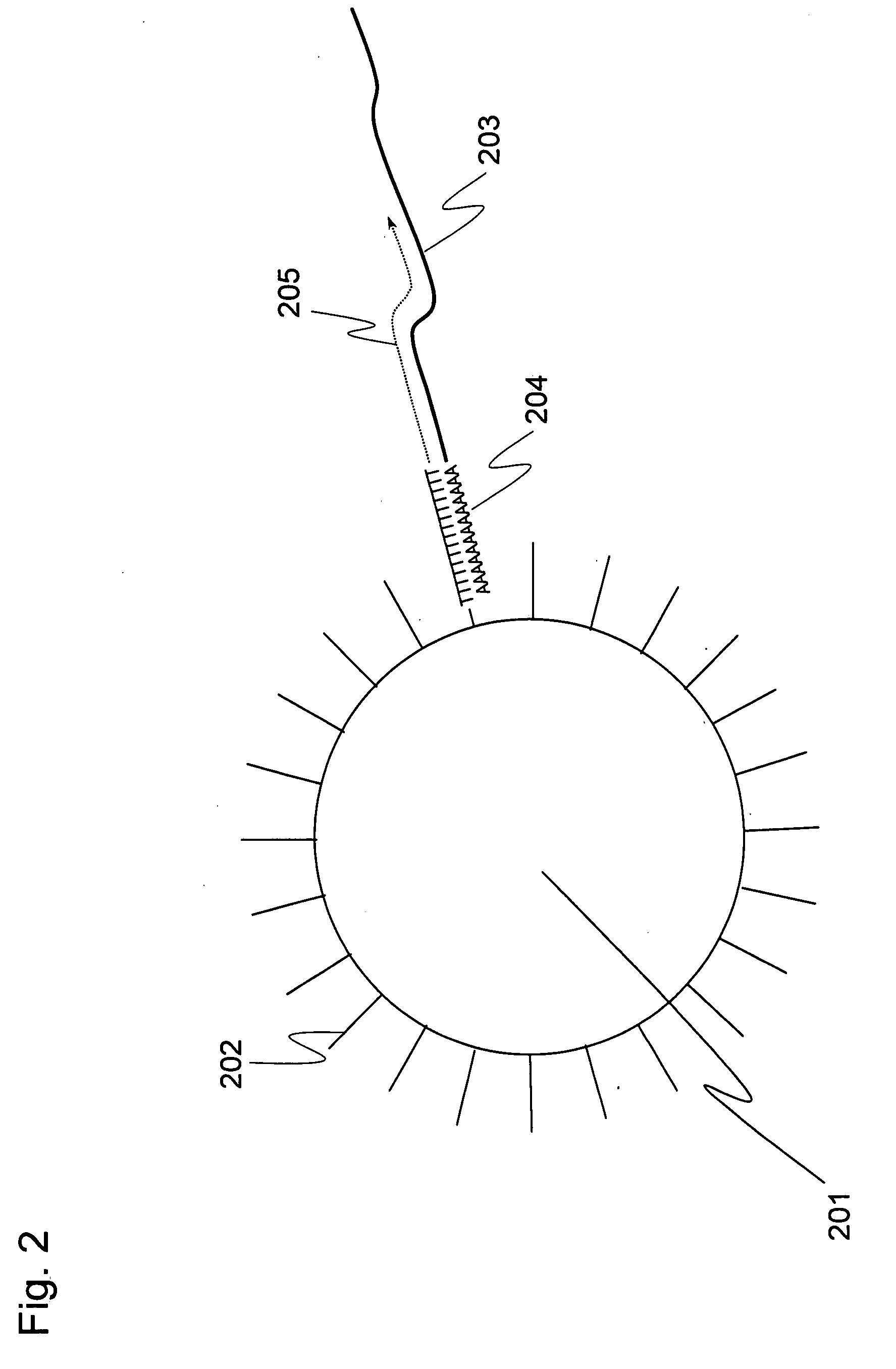 Methods for quantitative cDNA analysis in single-cell