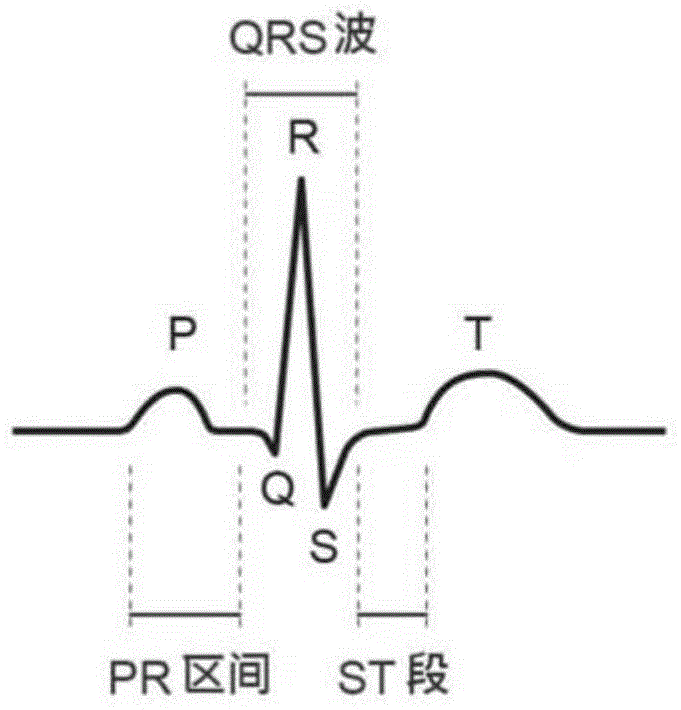 Cardiovascular health monitoring device and cardiovascular health monitoring method