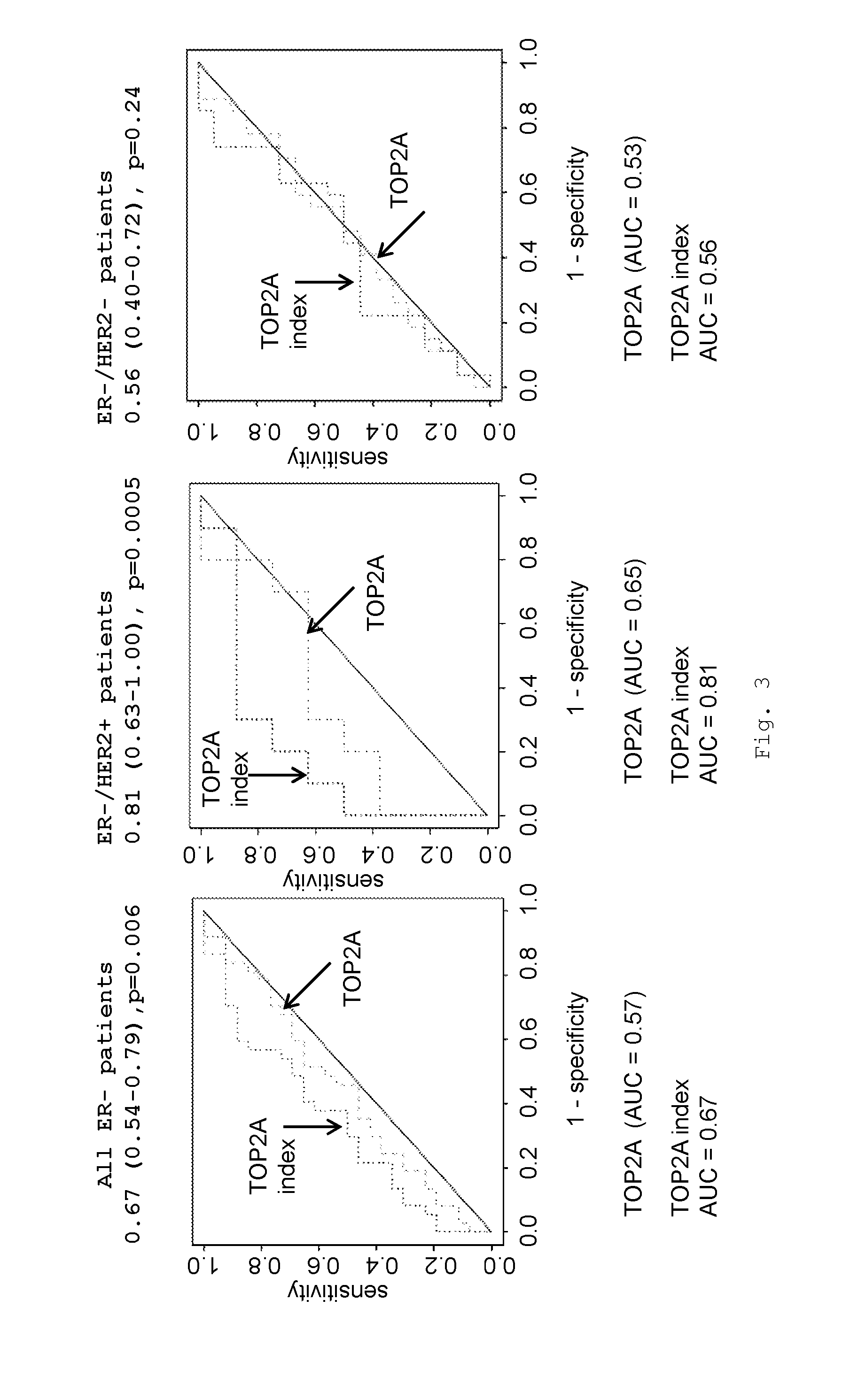 Methods and tools for predicting the efficiency of anthracyclines in cancer