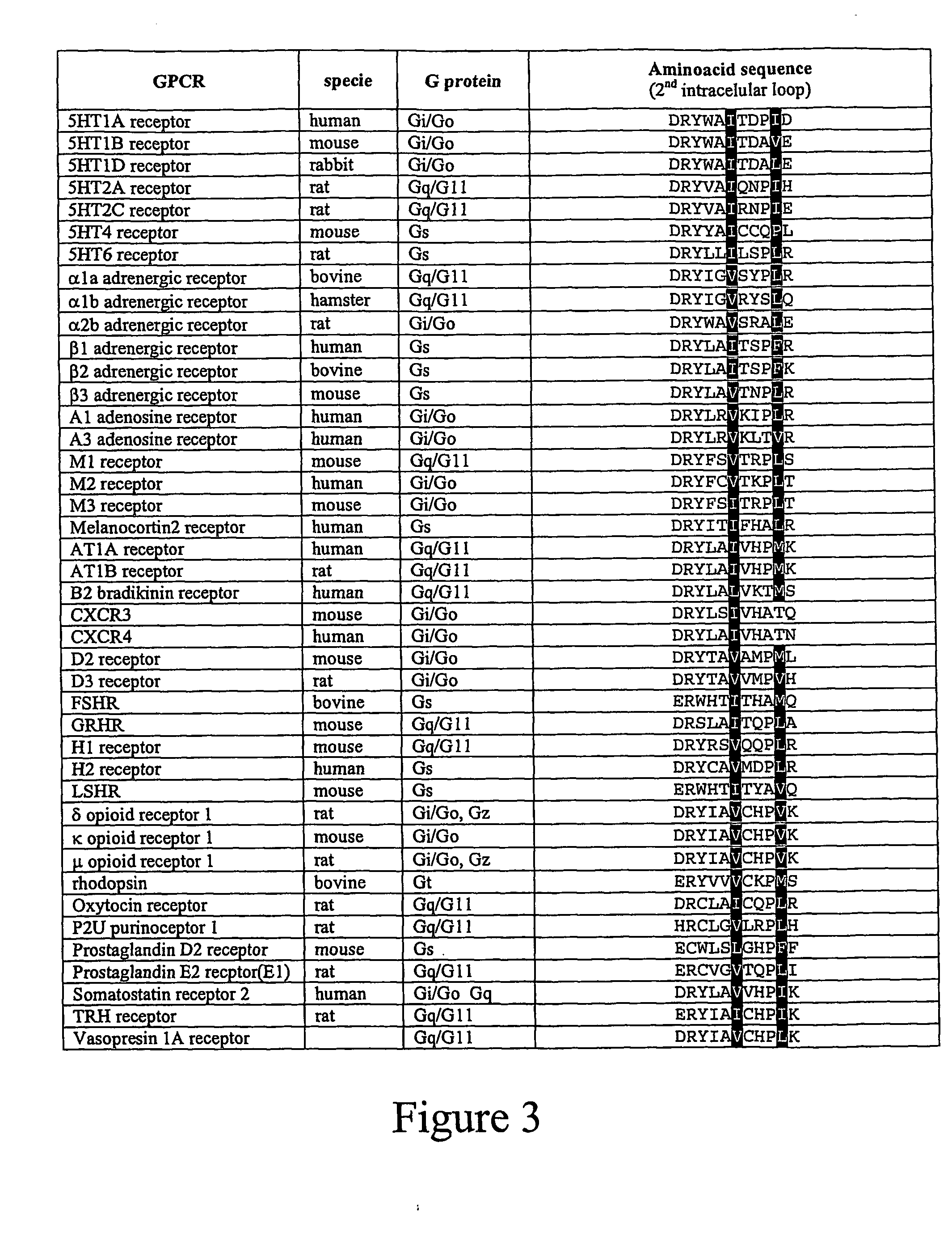 Materials and methods relating to g-protein coupled receptor oligomers