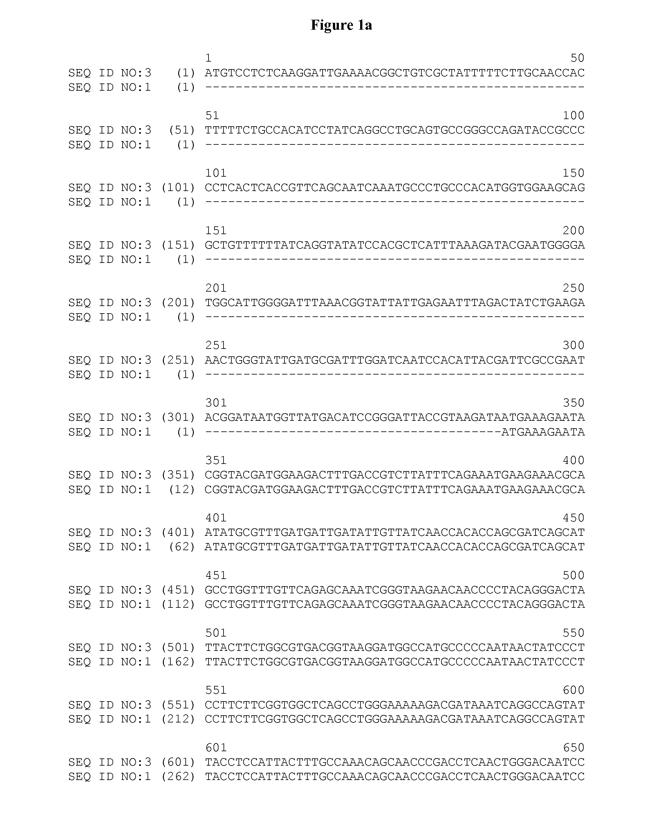 Polynucleotides Encoding Truncated Sucrose Isomerase Polypeptides for Control of Parasitic Nematodes