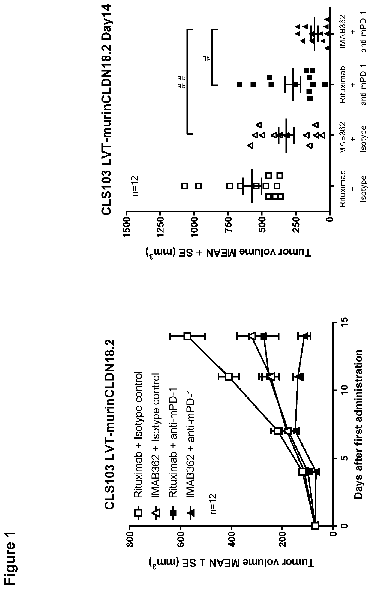 Combination therapy involving antibodies against claudin 18.2 and immune checkpoint inhibitors for treatment of cancer