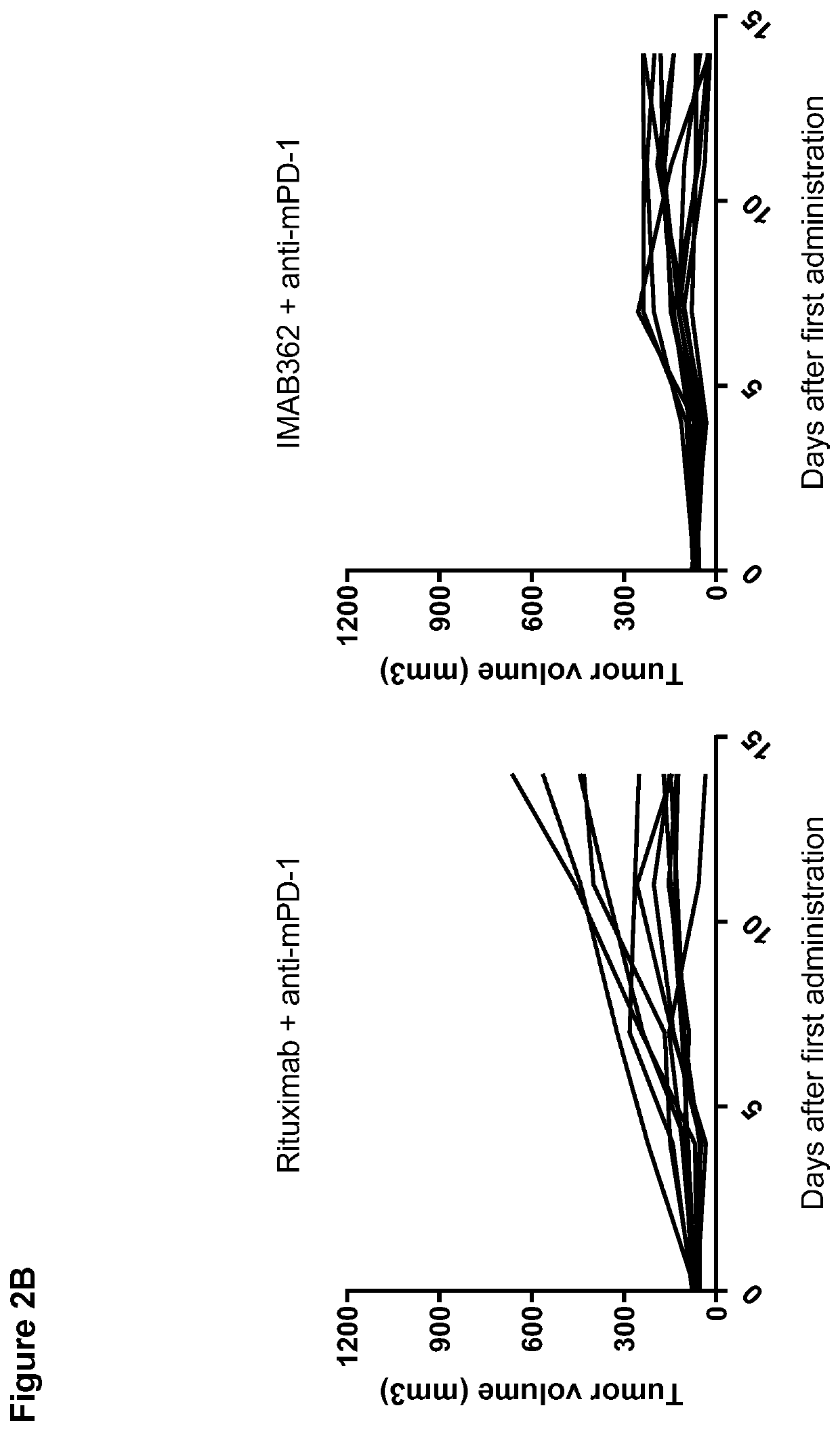 Combination therapy involving antibodies against claudin 18.2 and immune checkpoint inhibitors for treatment of cancer