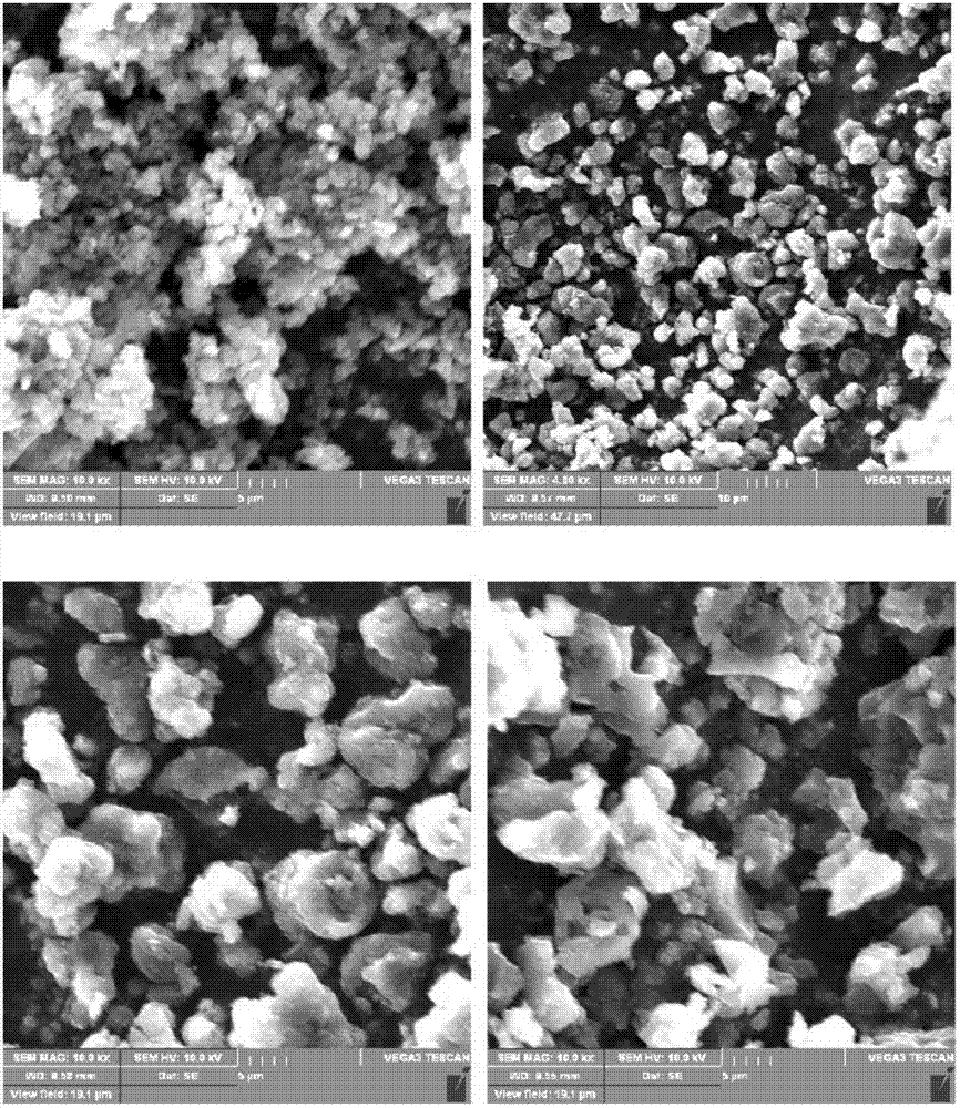 Polyaniline derivative and preparation method thereof