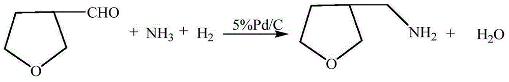 3-methylamine tetrahydrofuran preparation method