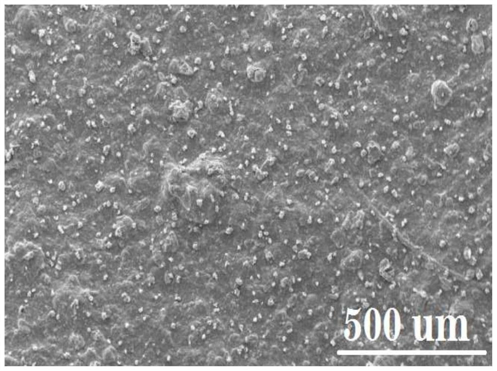 Temperature-resistant and salt-tolerant high-efficiency filtrate reducer for drilling fluid and preparation method thereof