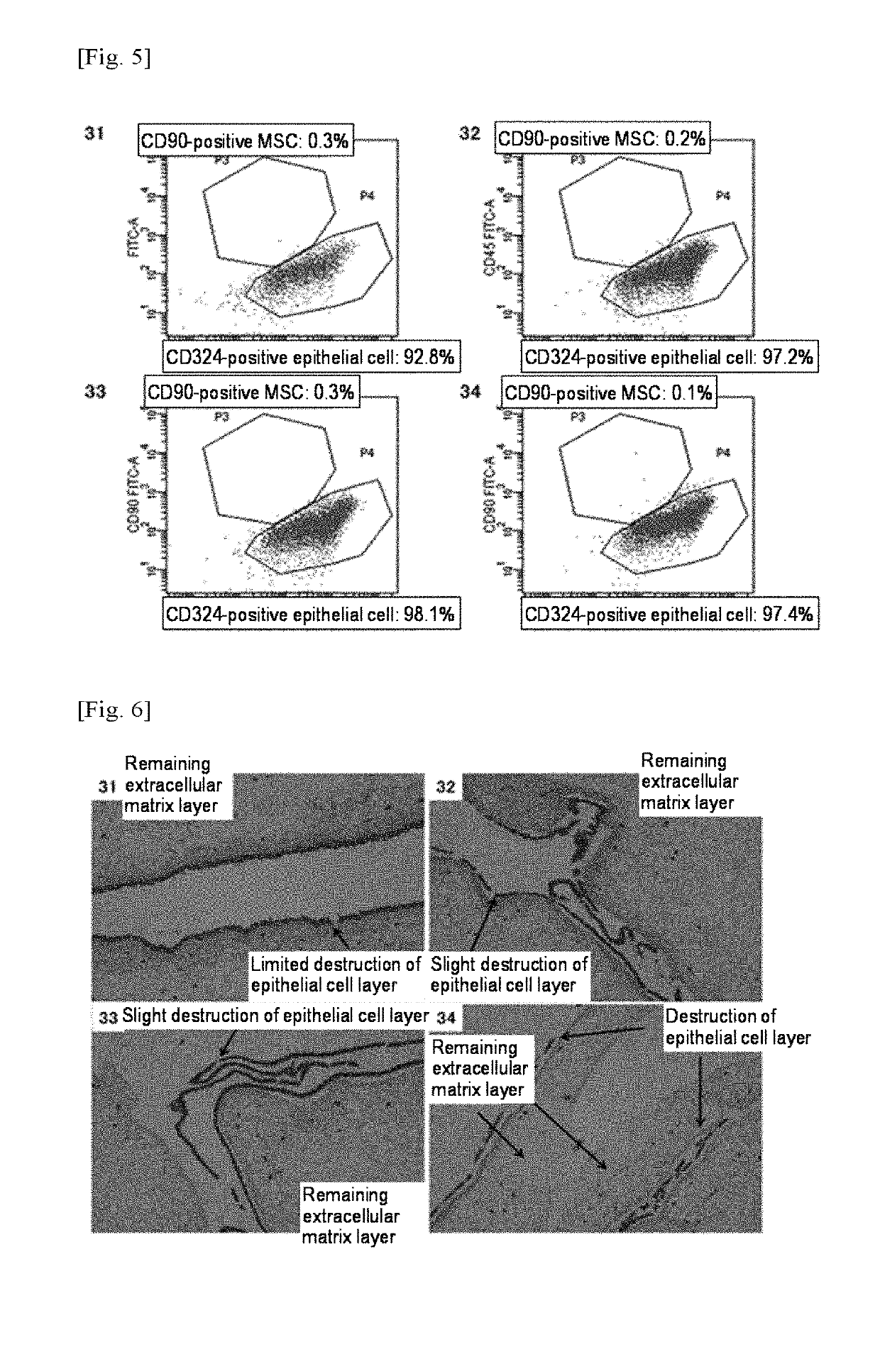 Method for producing amniotic mesenchymal stromal cell composition, method for cryopreserving the same, and therapeutic agent