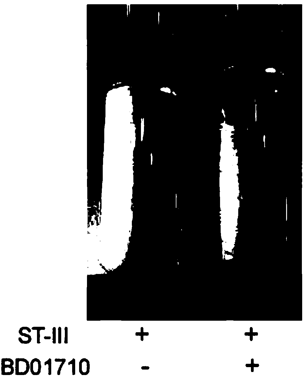 Auxiliary fermentation agent as well as preparation method and application thereof to fermented product