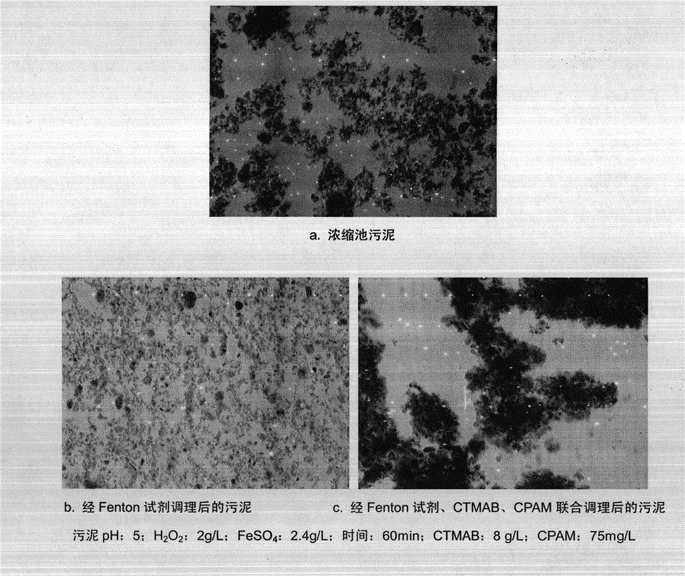 Joint-conditioning dehydration method for sludge