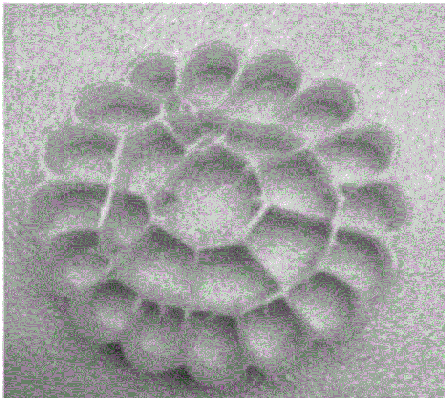 Composite biofilm carrier for sewage treatment and preparation method thereof