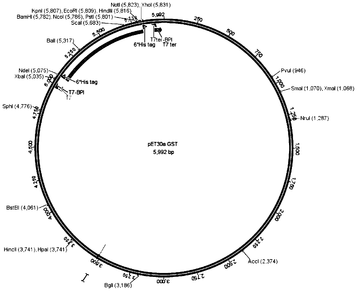 A tmv-cmv-pvy triple virus colloidal gold rapid detection test strip