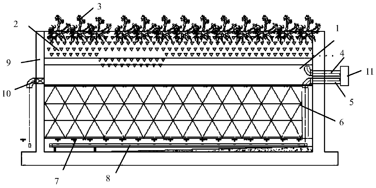 Water treatment system and method based on ecological core wetland