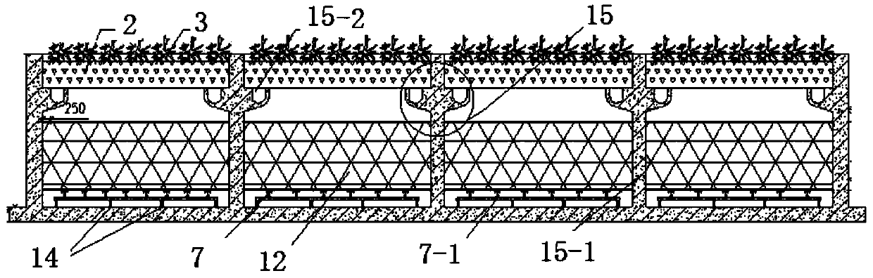 Water treatment system and method based on ecological core wetland