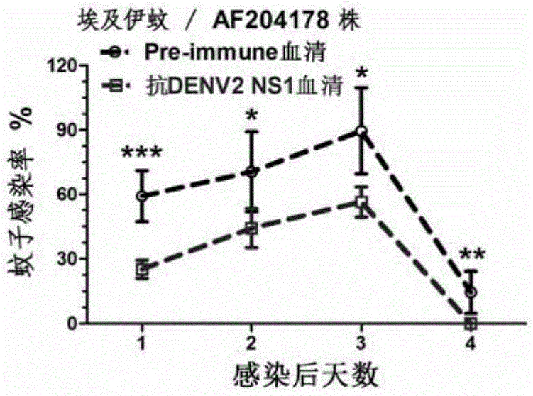 Preparation method and application of double-effect vaccine for dengue fever