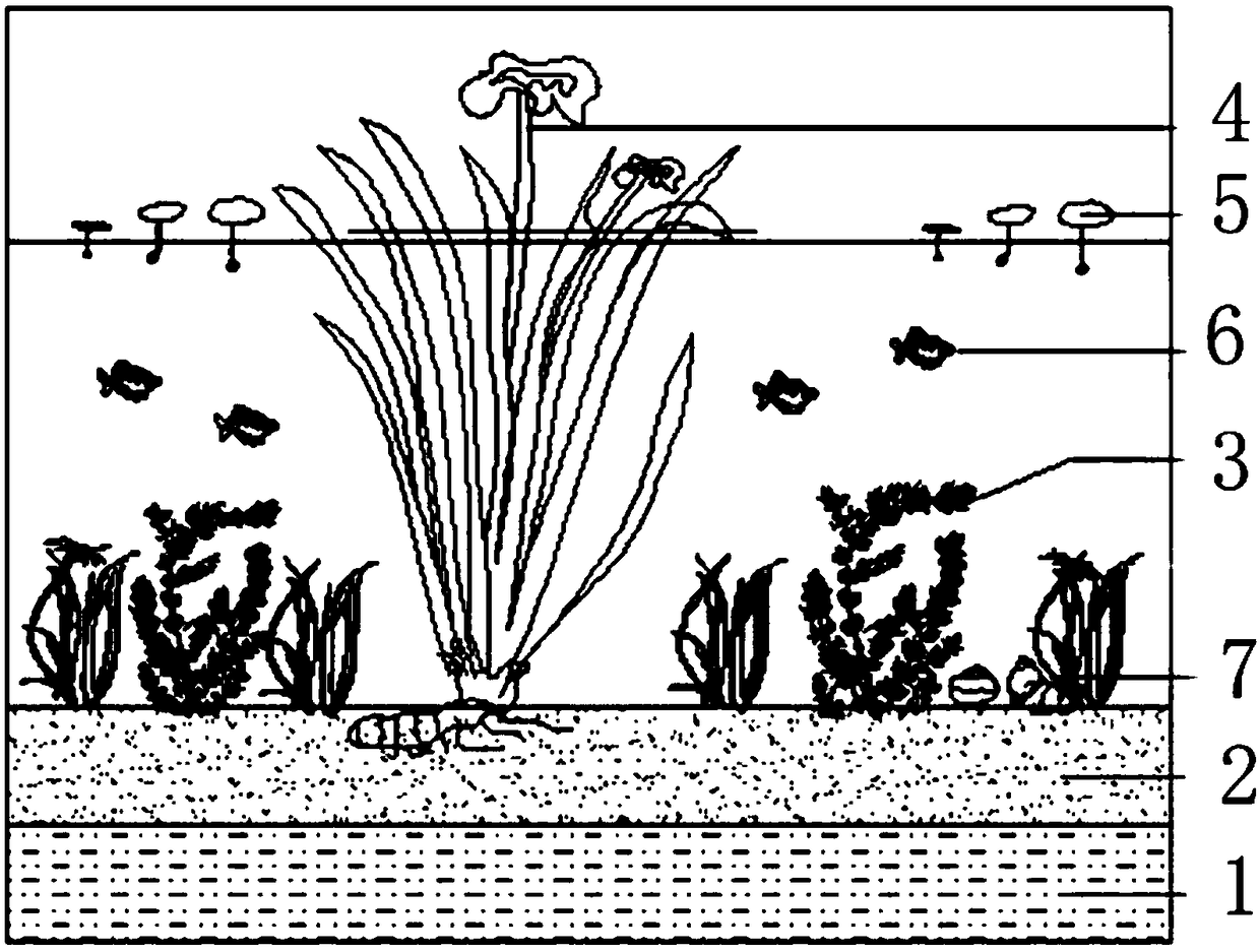 Energy-saving type water-changing-free container waterscape