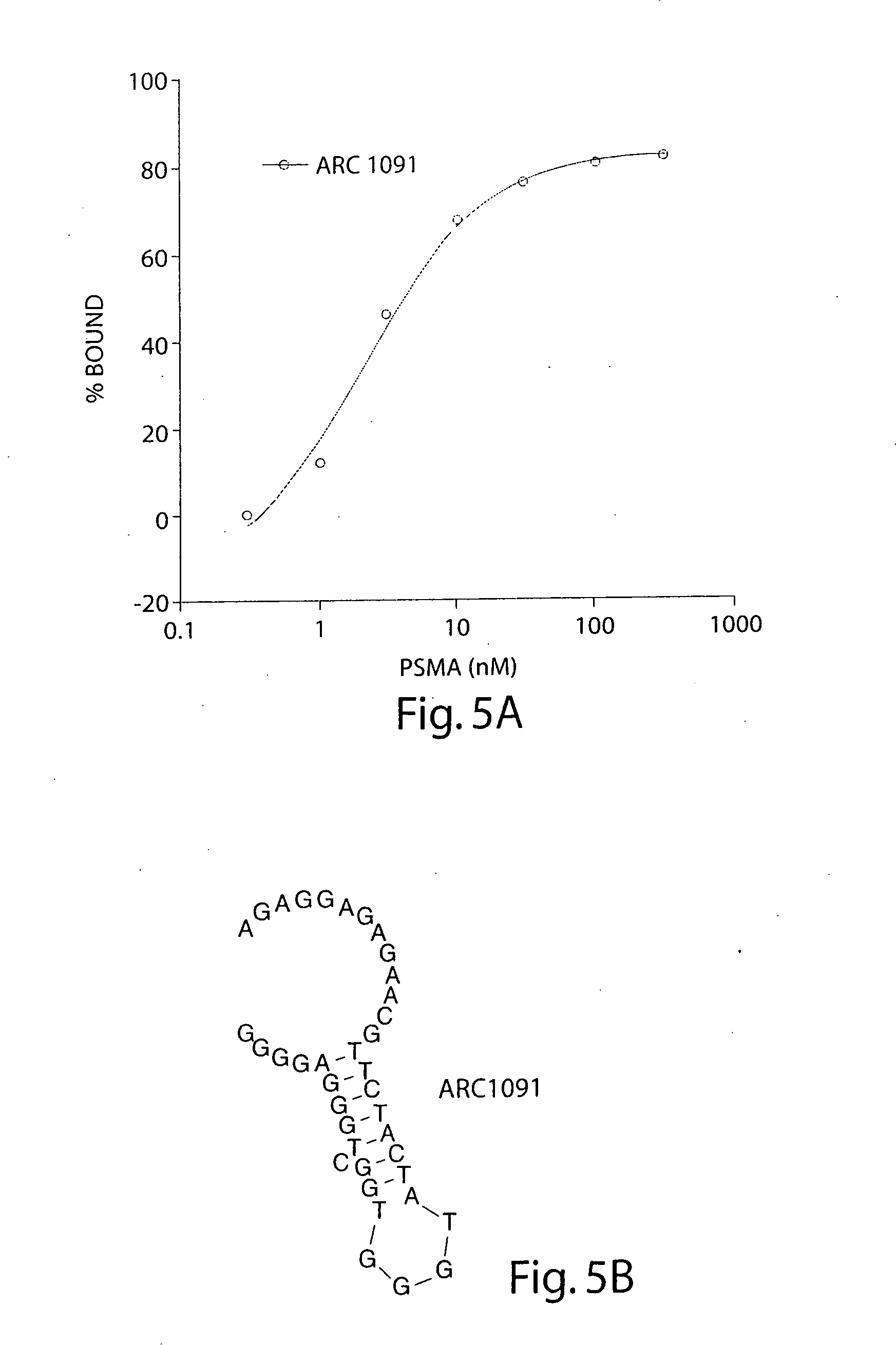 Stabilized aptamers to PSMA and their use as prostate cancer therapeutics