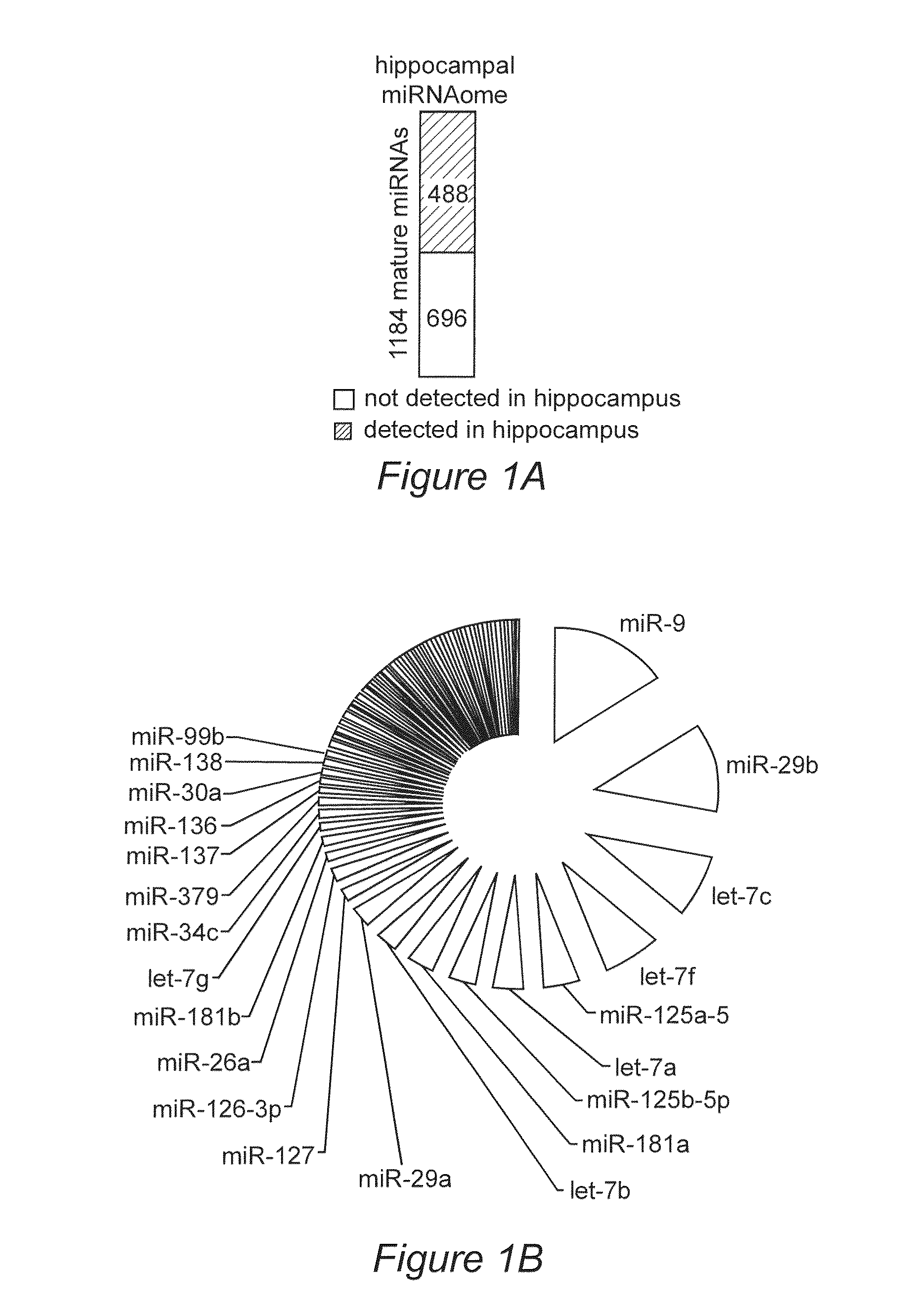 Method for preventing or treating memory impairment and pharmaceutical compositions useful therefore