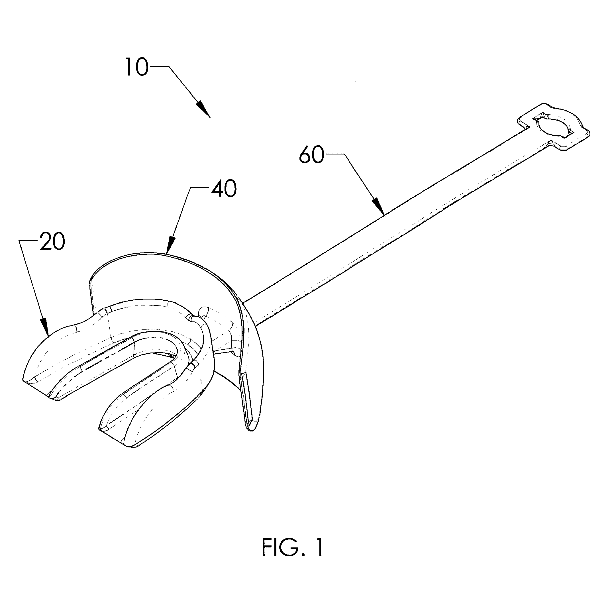 Mouthguard and lipguard assembly