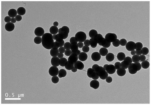 Nucleic-acid composite nano-drug self-assembled and constructed based on coordination of metal ions, and preparation method and application of nucleic-acid composite nano-drug