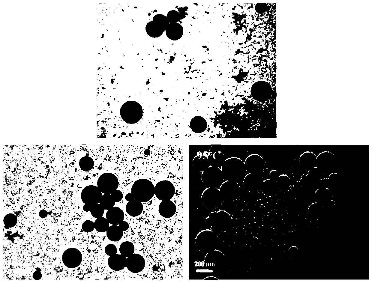 Nucleic-acid composite nano-drug self-assembled and constructed based on coordination of metal ions, and preparation method and application of nucleic-acid composite nano-drug