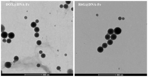 Nucleic-acid composite nano-drug self-assembled and constructed based on coordination of metal ions, and preparation method and application of nucleic-acid composite nano-drug