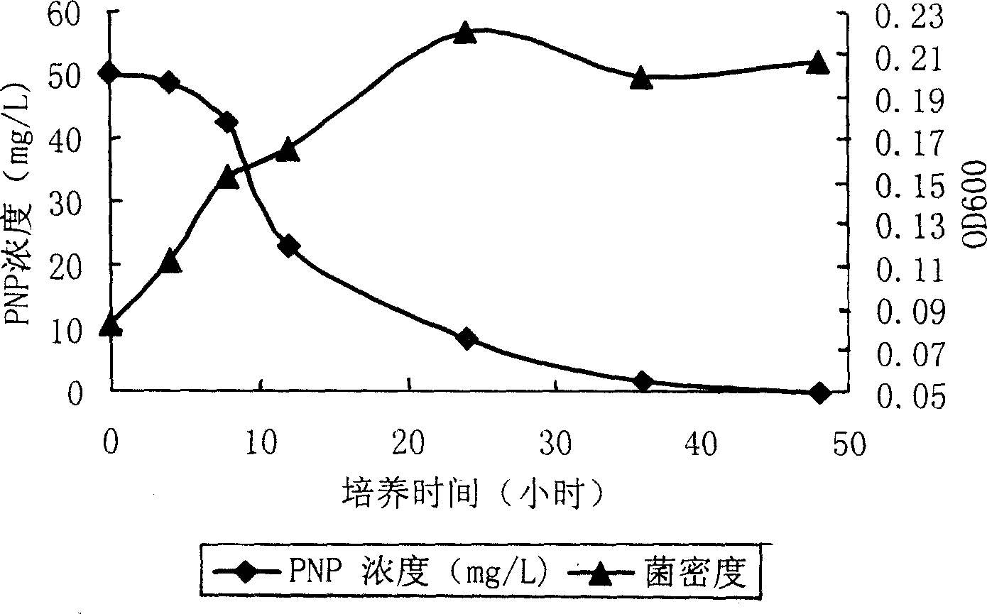 Degradation bacteria for highly effective degrading organophosphorus pesticide and its use