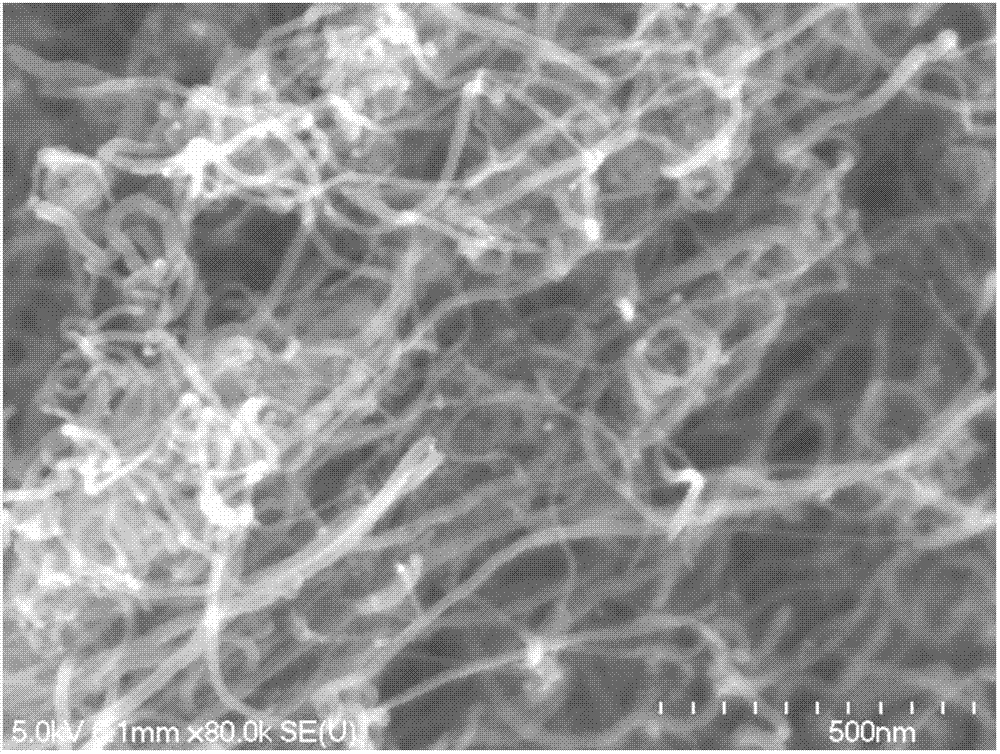 Carbon nanotube paper and making method thereof