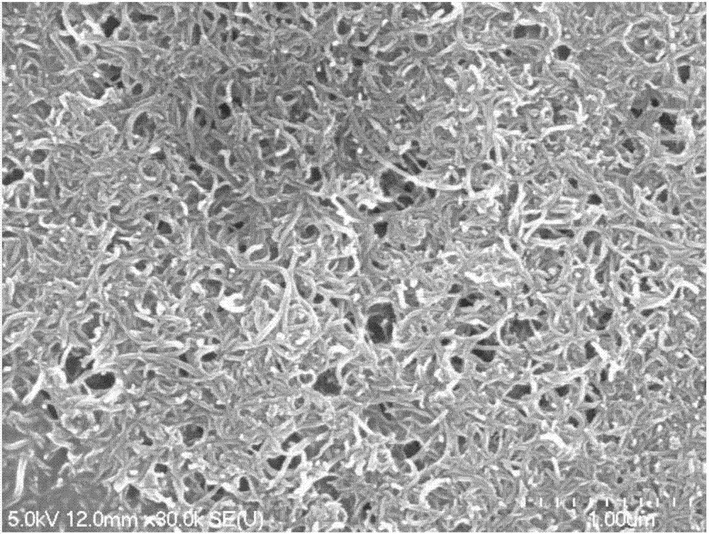 Carbon nanotube paper and making method thereof