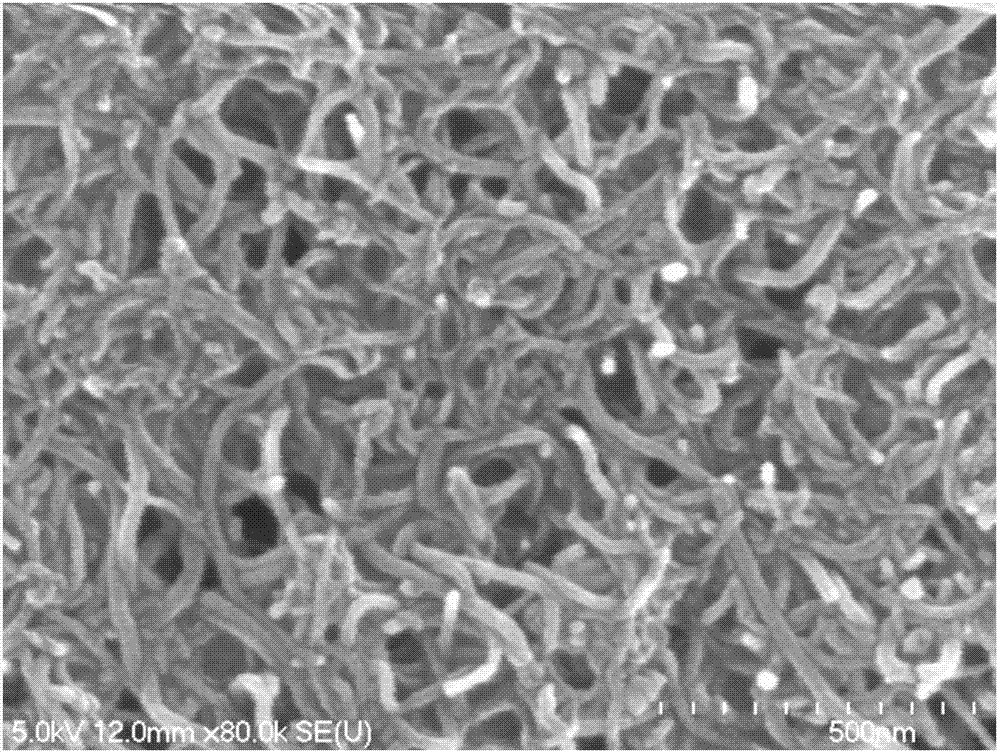 Carbon nanotube paper and making method thereof