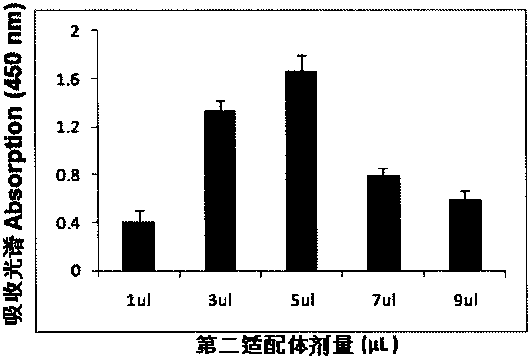 Mammaglobin mRNA detection method and reagent thereof