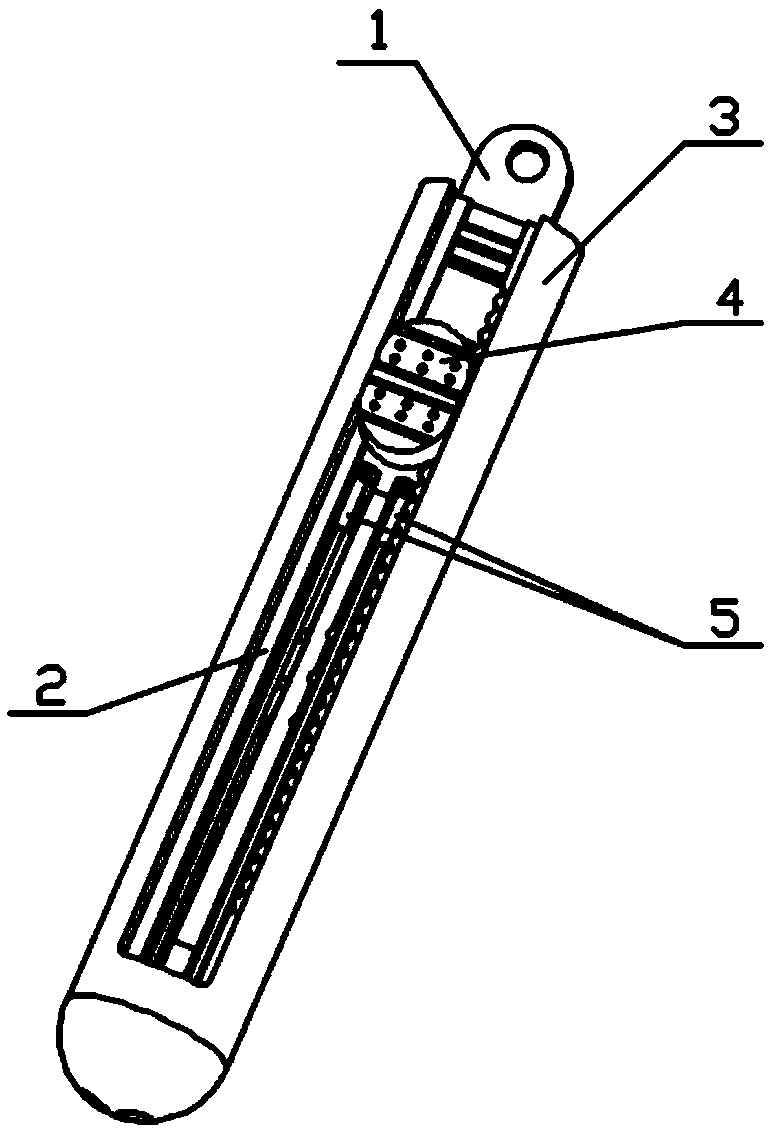 Non-invasive surface impurity removal tool for whole small yellow croakers