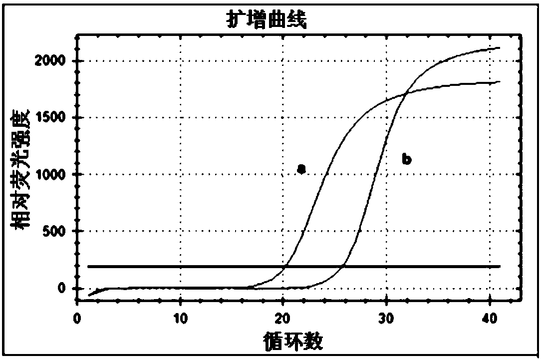 Method for detecting transcription level of SLC2A9/GLUT9 gene of tree shrews through RT-qPCR