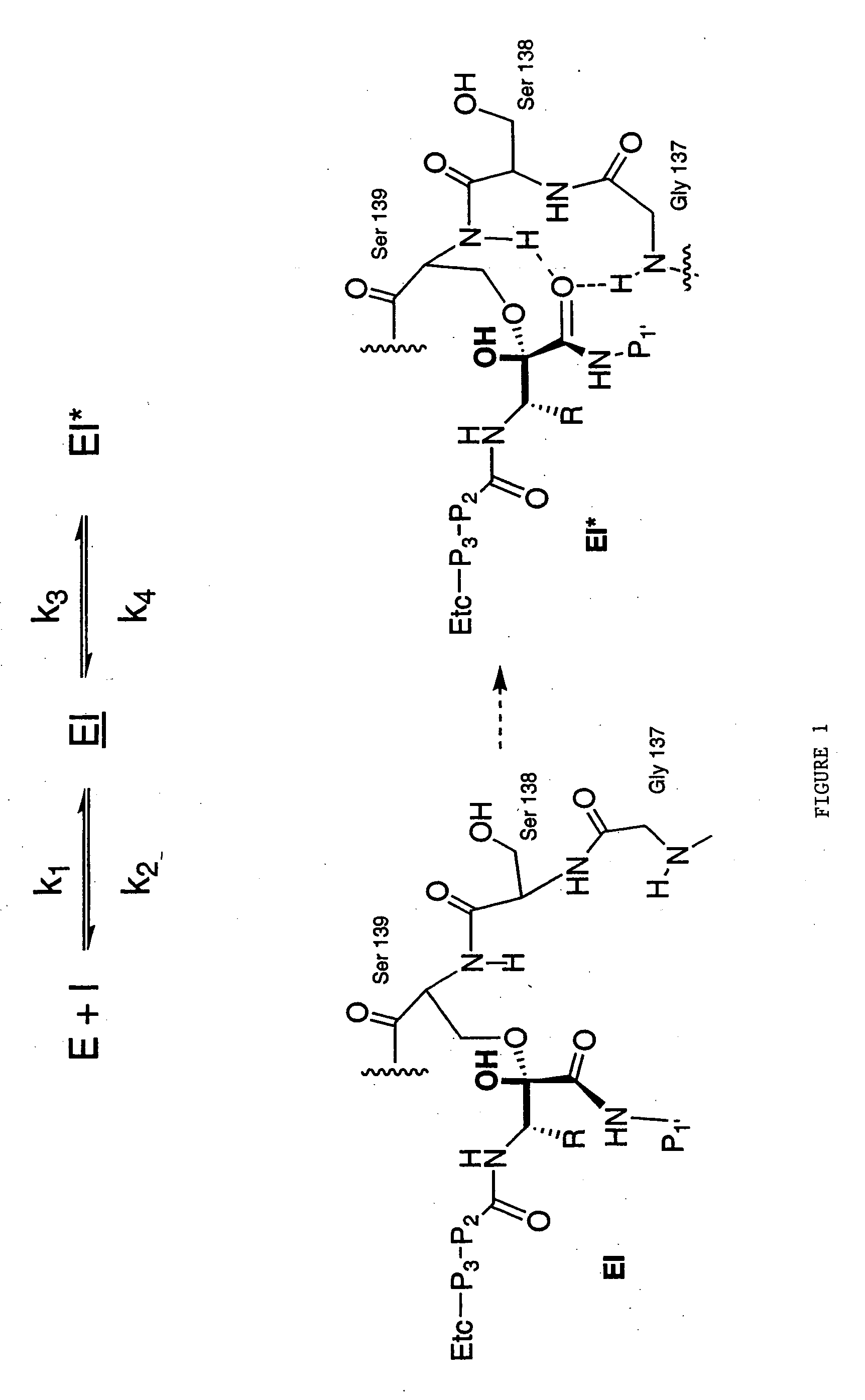 Drug discovery method