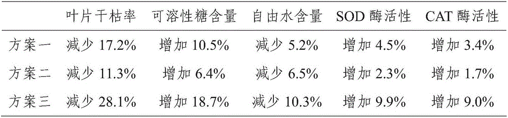 Cold-proof antifreezing water soluble fertilizer special for tea trees and preparation method and application thereof