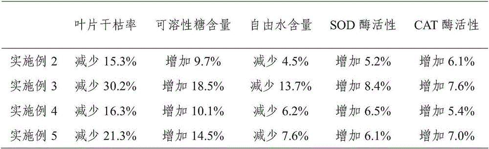 Cold-proof antifreezing water soluble fertilizer special for tea trees and preparation method and application thereof