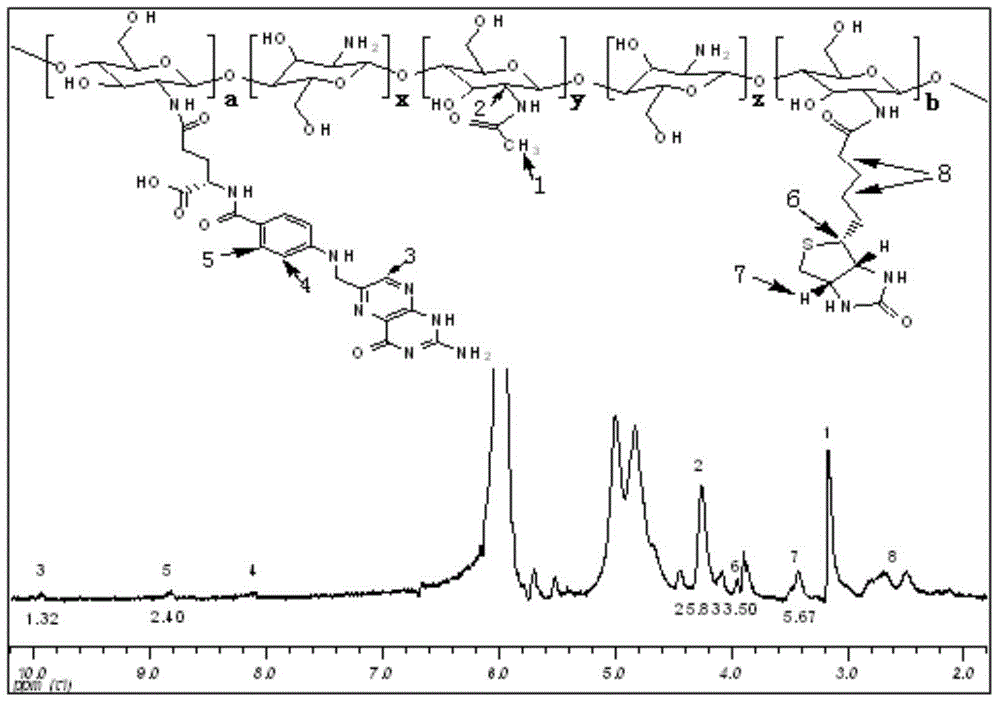 Folacin/biotin modified chitosan material and preparation method thereof